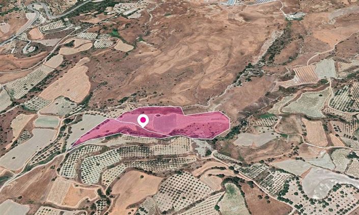 Image No.3-Terre à vendre à Paphos