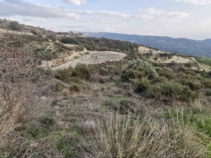 Image No.2-Terre à vendre à Kelokedara