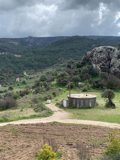 Image No.9-Commercial for sale