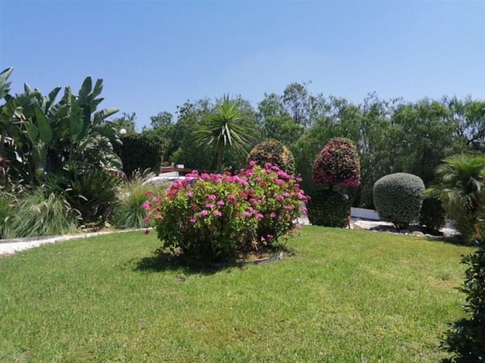 Image No.7-Bungalow de 4 chambres à vendre à Anarita