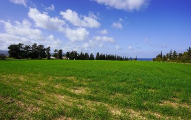 Image No.10-Terre à vendre à Polis Chrysochous