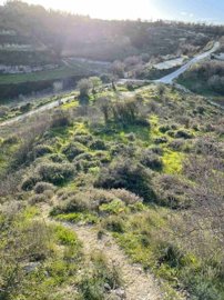 Agricultural Land For Sale  in  Tsada