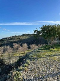 Agricultural Land For Sale  in  Tsada