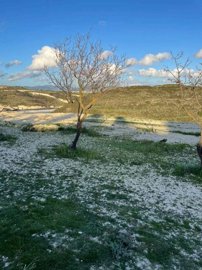 Agricultural Land For Sale  in  Tsada