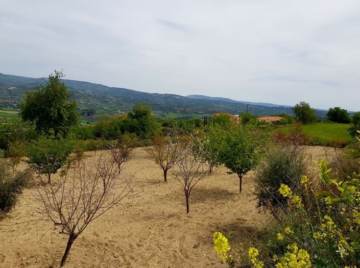 Image No.3-Land for sale