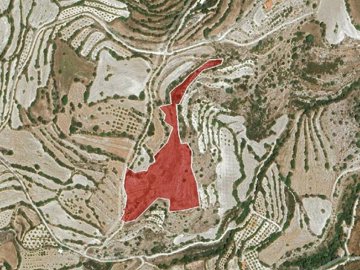 Field - ?margeti, Paphos