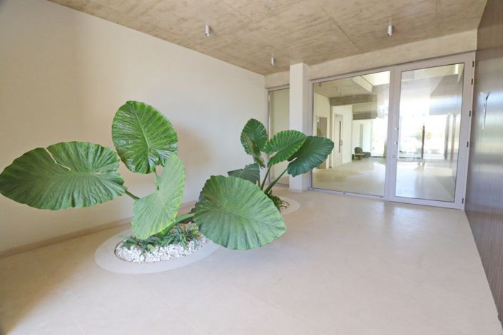 Image No.4-Penthouse de 3 chambres à vendre à Kato Paphos