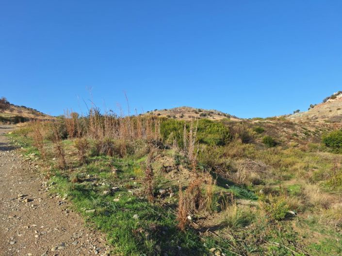 Image No.3-Terre à vendre à Anarita