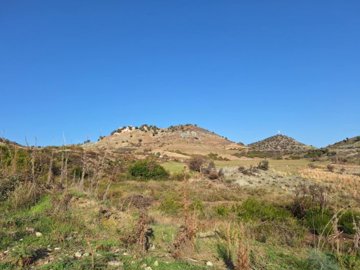 Agricultural Land For Sale  in  Anarita