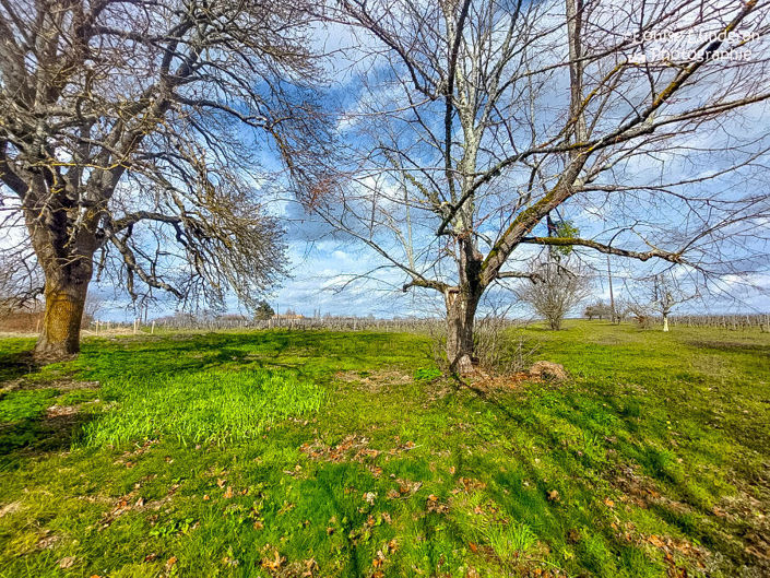 Image No.2-Maison de 2 chambres à vendre à Pomport