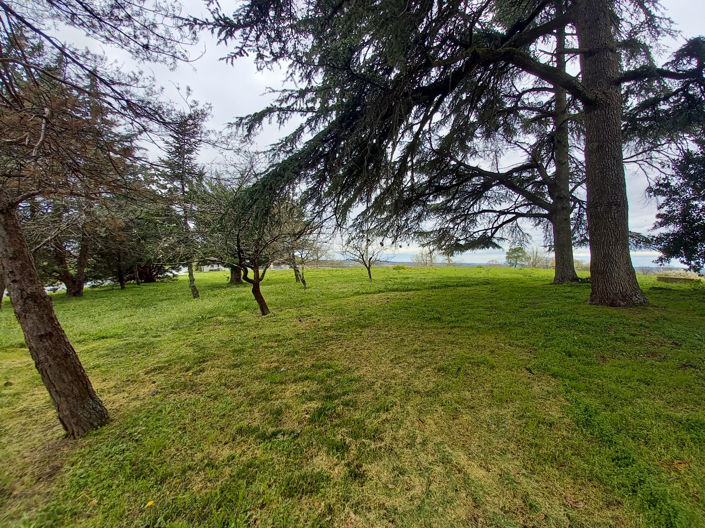 Image No.24-3 Bed House for sale