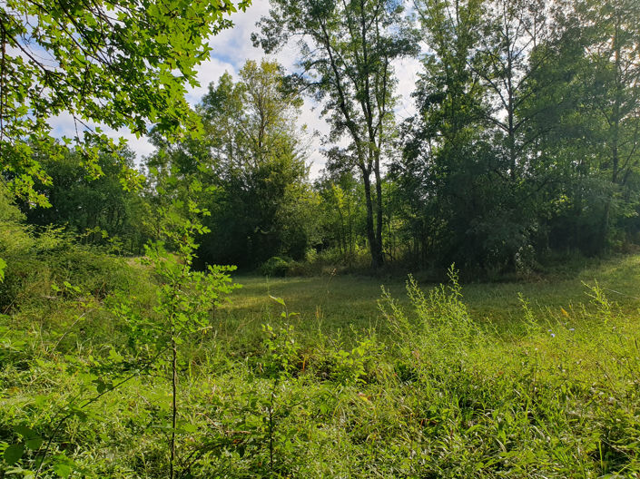 Image No.10-Maison de 3 chambres à vendre à Serres-et-Montguyard