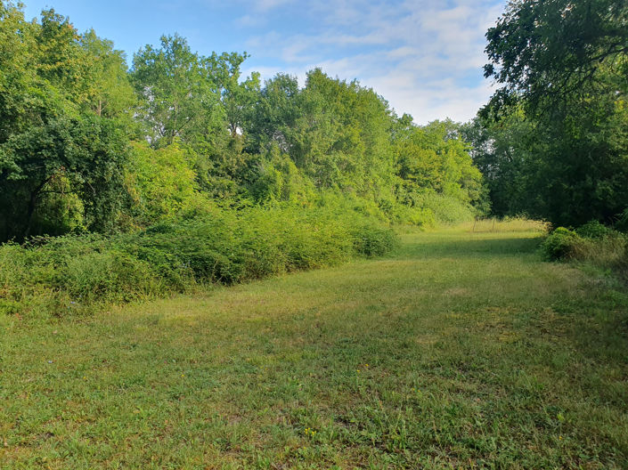 Image No.23-Maison de 3 chambres à vendre à Serres-et-Montguyard