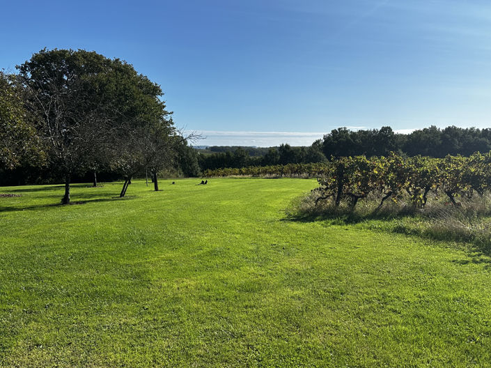 Image No.25-Maison de 5 chambres à vendre à Savignac De Duras
