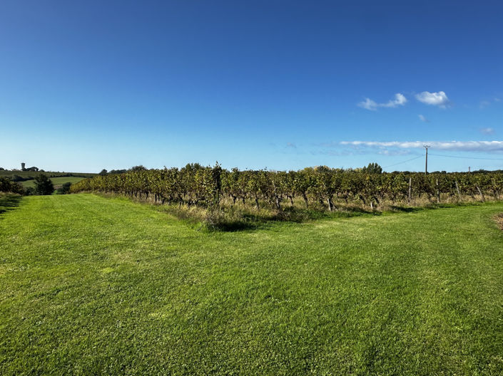 Image No.26-Maison de 5 chambres à vendre à Savignac De Duras