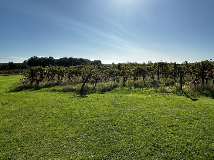 Image No.28-Maison de 5 chambres à vendre à Savignac De Duras
