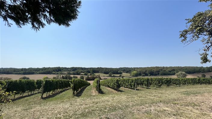 Image No.25-Maison de 4 chambres à vendre à Eymet