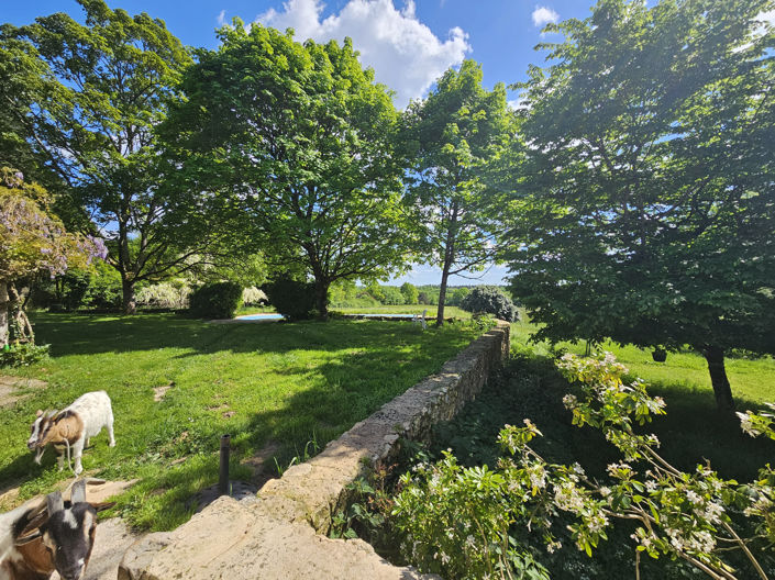 Image No.2-Maison de 5 chambres à vendre à Pressignac-Vicq