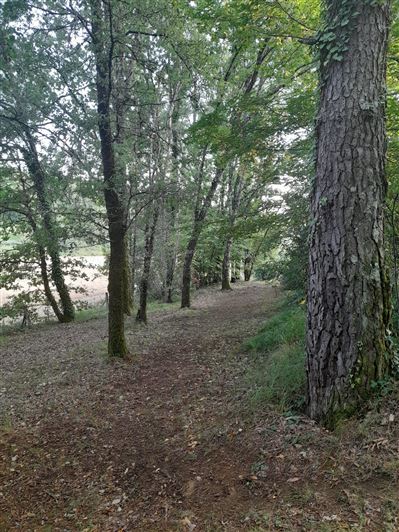 Image No.20-Maison de 4 chambres à vendre à Dordogne