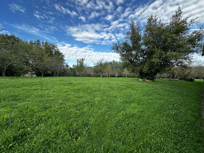 Image No.24-Maison de 5 chambres à vendre à La Sauvetat-du-Dropt