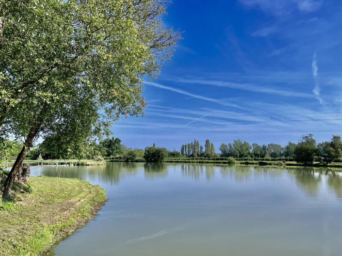 Image No.10-Chalet de 11 chambres à vendre à Bergerac
