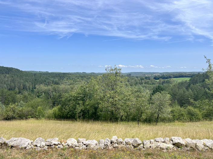 Image No.3-Propriété de 3 chambres à vendre à Beaumont-du-Perigord