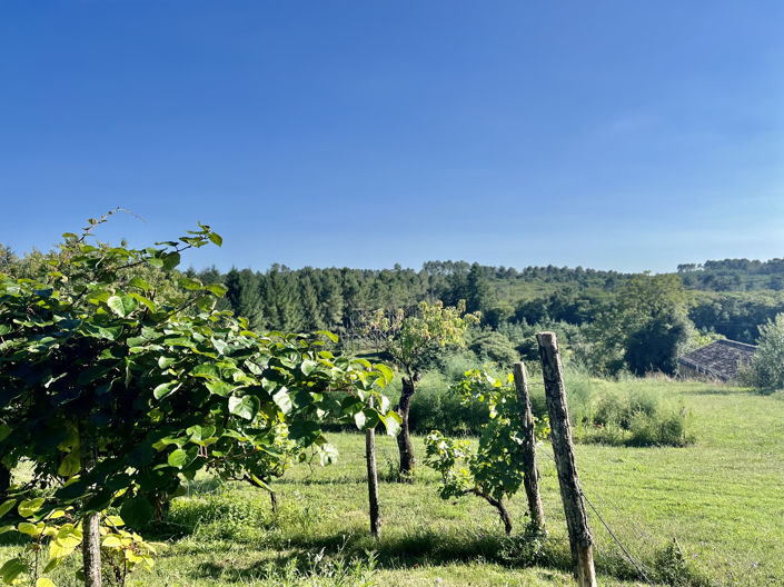 Image No.3-Propriété de 4 chambres à vendre à Blanquefort-sur-Briolance