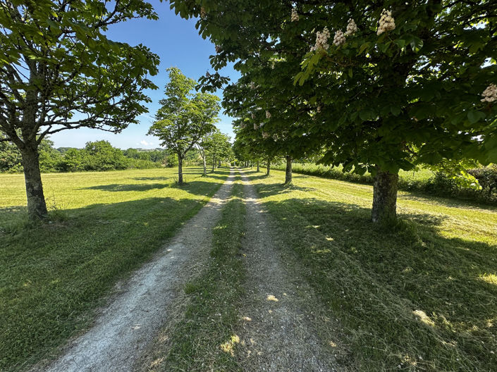 Image No.27-Maison de 4 chambres à vendre à Dordogne