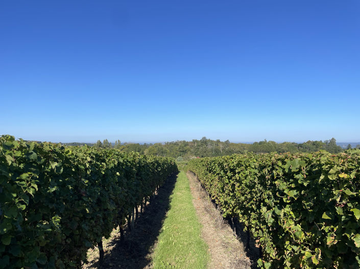 Image No.8-Maison de 6 chambres à vendre à Monbazillac