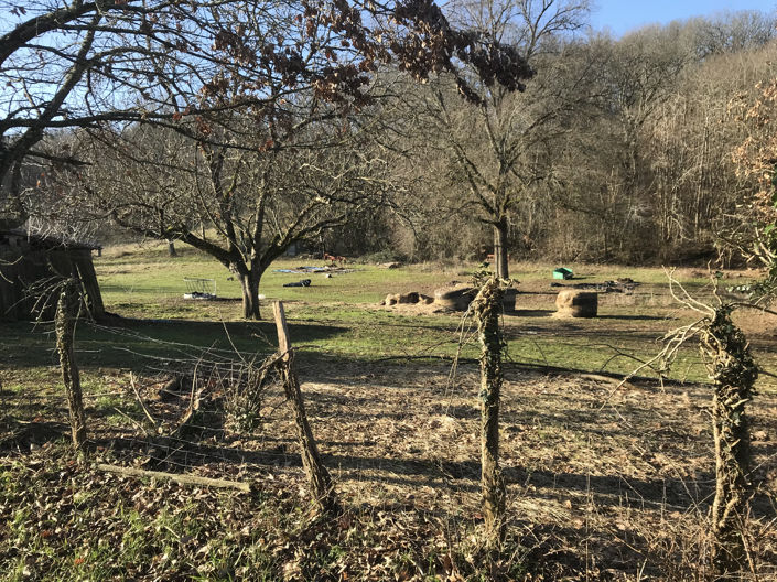 Image No.5-Terre à vendre à Berbiguières