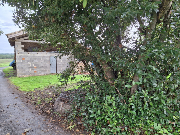 Image No.7-House for sale