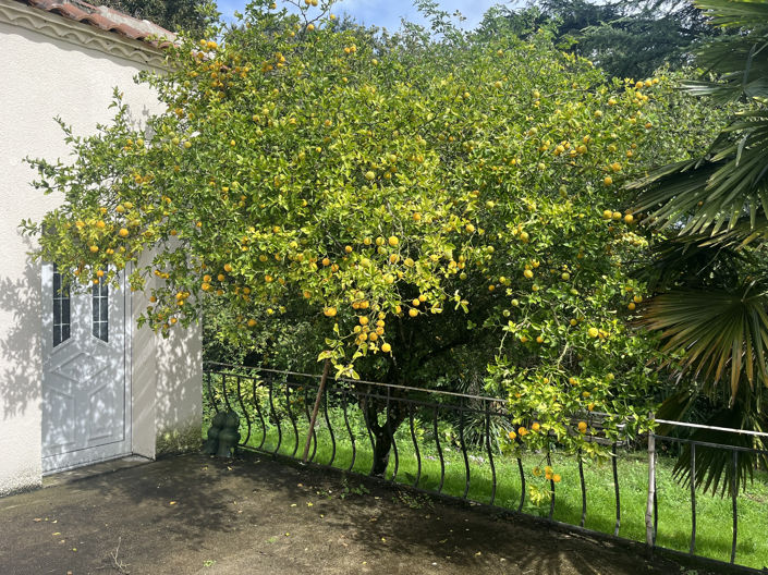 Image No.3-Maison de 3 chambres à vendre à Lembras