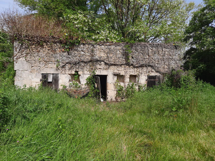 Image No.19-Maison de 3 chambres à vendre à Lauzun