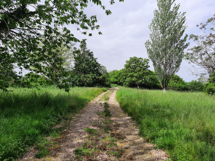 Image No.22-Maison de 3 chambres à vendre à Lauzun