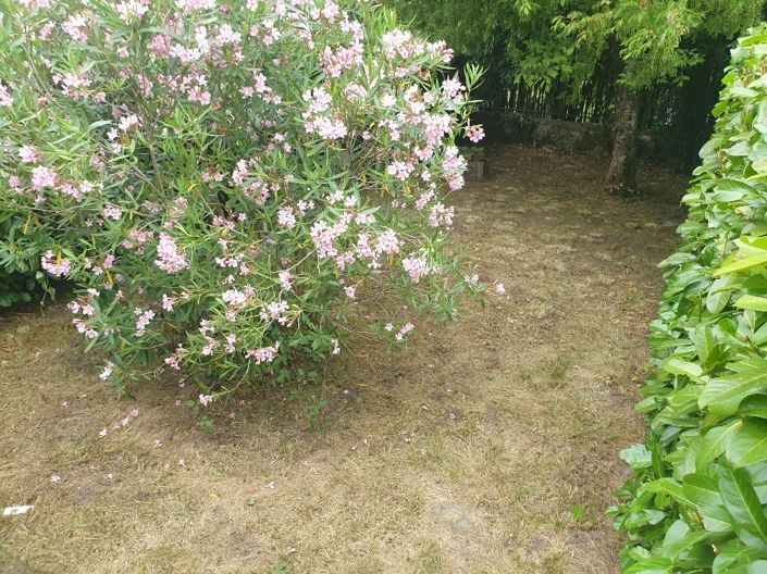 Image No.2-Maison de 3 chambres à vendre à Lauzun