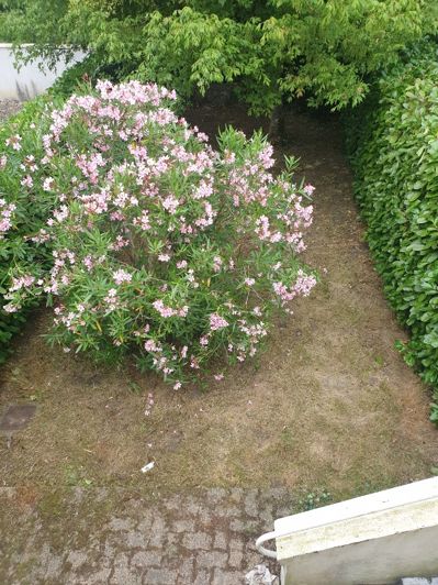 Image No.8-Maison de 3 chambres à vendre à Lauzun