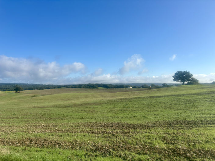 Image No.5-Propriété de 4 chambres à vendre à Monsempron-Libos