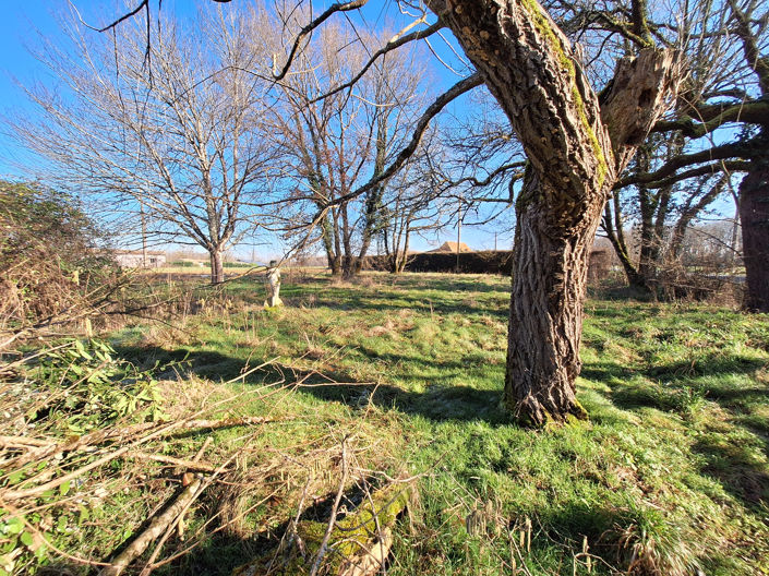 Image No.18-2 Bed House for sale