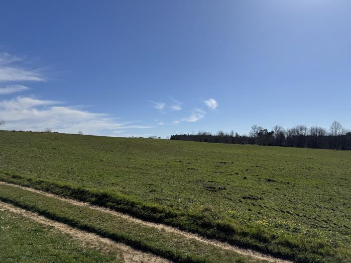 Image No.5-Ferme de 4 chambres à vendre à Capdrot
