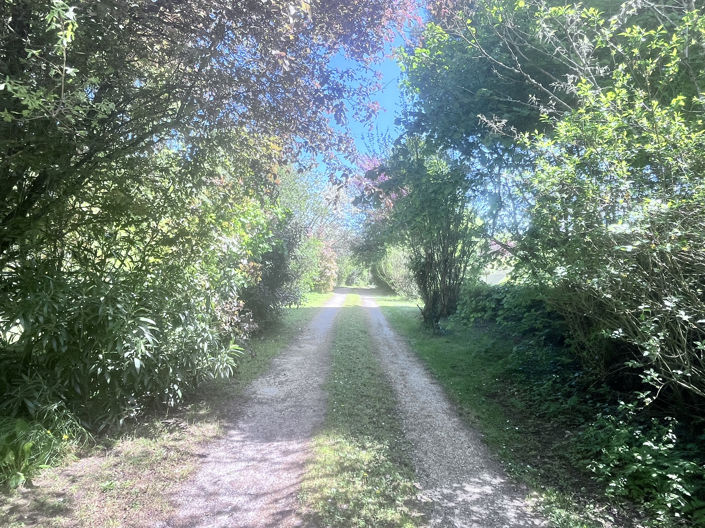 Image No.5-Maison de 6 chambres à vendre à Eymet