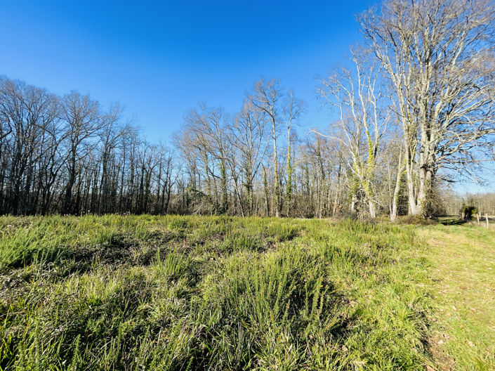 Image No.12-Maison de 3 chambres à vendre à Mouleydier