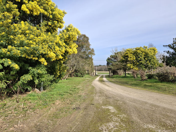 Image No.18-Maison de 8 chambres à vendre à Villeréal