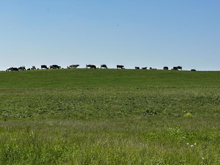 Image No.2-Maison de campagne de 4 chambres à vendre à Lauzun