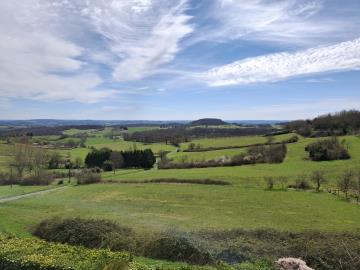 20250318_124805---Copie