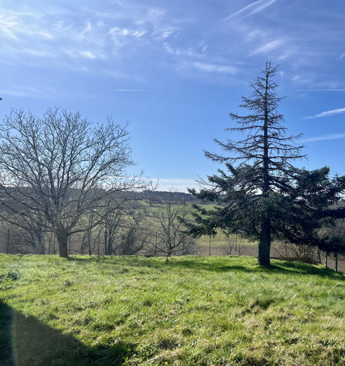 Image No.14-4 Bed House for sale