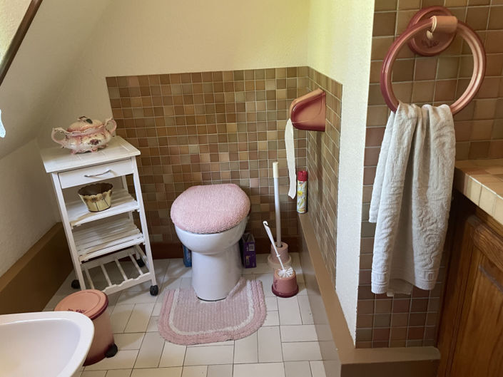 Image No.18-Maison de 4 chambres à vendre à Eymet