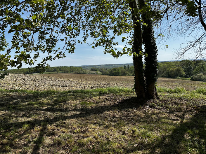 Image No.20-Maison de 3 chambres à vendre à Soumensac