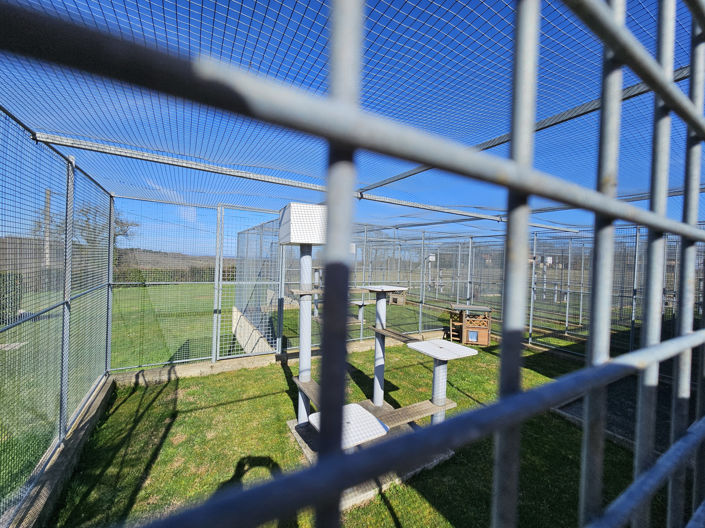 Image No.11-Maison de 4 chambres à vendre à Beaumont-du-Perigord