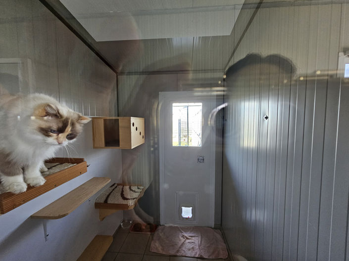 Image No.12-Maison de 4 chambres à vendre à Beaumont-du-Perigord