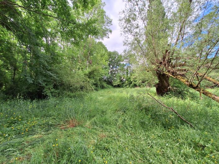 Image No.36-Maison de campagne de 3 chambres à vendre à Sérignac-Péboudou